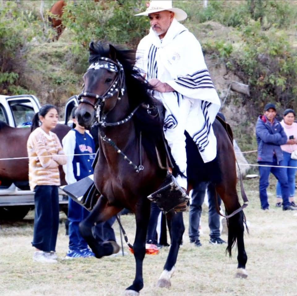 Luisito Dasdas